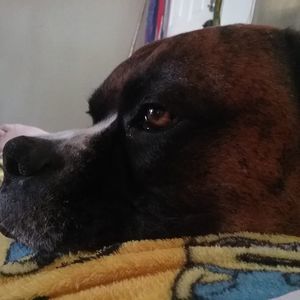 Meet your Posher, Bob